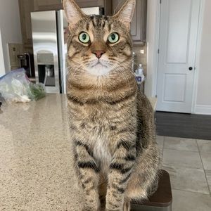 Meet your Posher, Erica